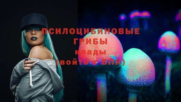 гидра Сосновка