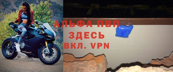 PSILOCYBIN Вязьма