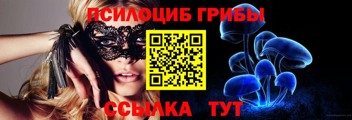 Галлюциногенные грибы мицелий  Вход с VPN  Елец 