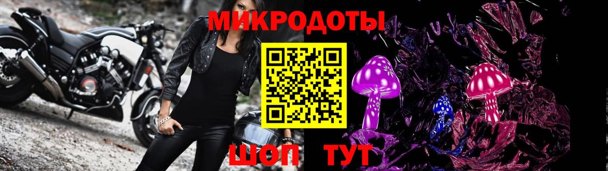 Псилоцибиновые грибы Psilocybe Елец
